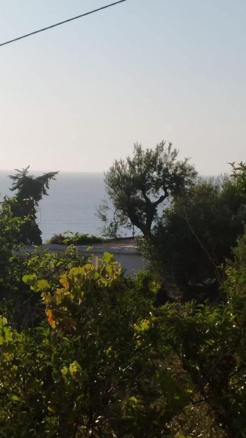 Mullaj Guest House Vlorë エクステリア 写真